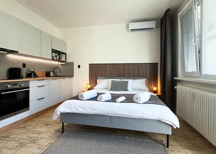 New Cozy Studio, Ac & Balcony 公寓 *